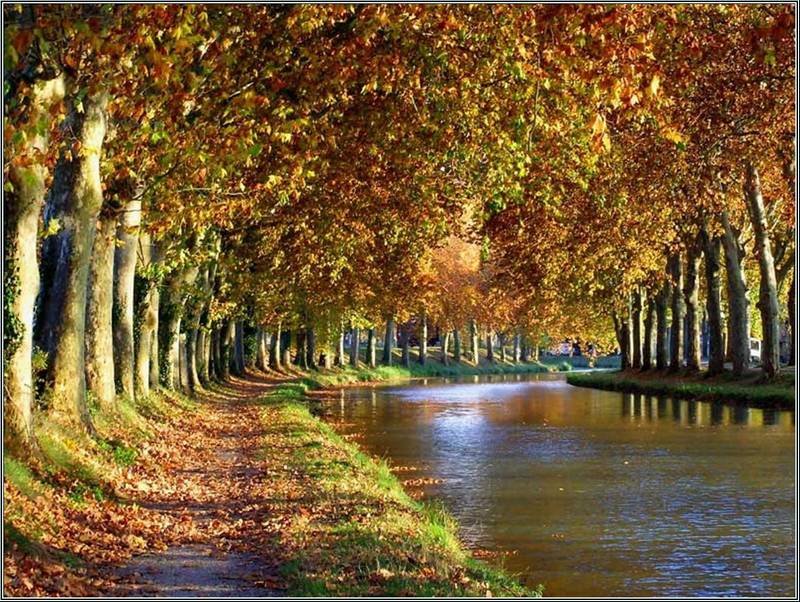 Canal du midi